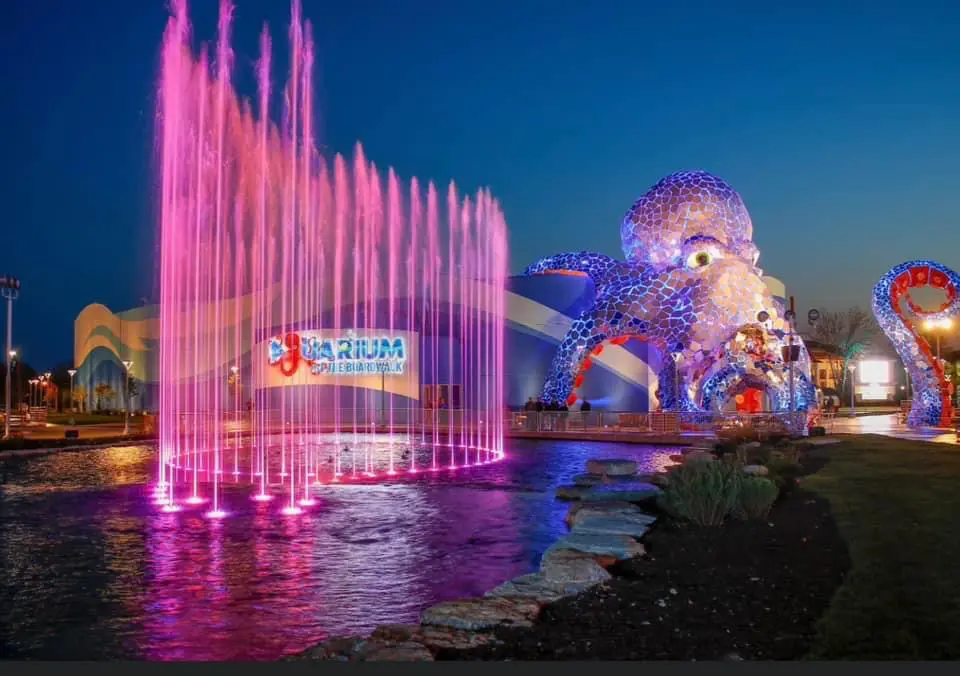 A fountain with lights and a large fish.